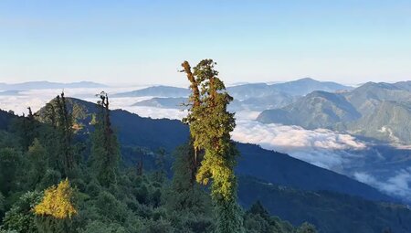 Nepal – Trekking für Einsteiger im Helambu