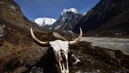 Nepal – Lodge-Trekking im Langtang-Tal