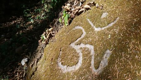 Nepal – Climate Trek Langtang