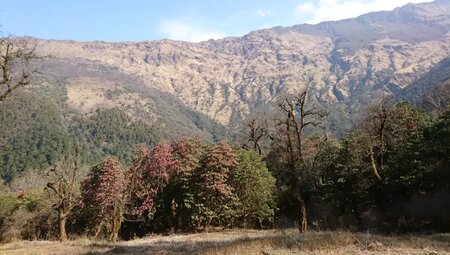 Nepal – Annapurna Panorama Lodge-Trek