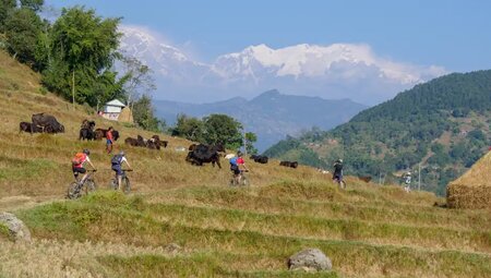 MTB - Nepal - Himalaya - Panorama Tour