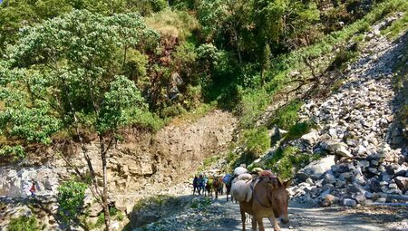Nepal – Zelt-Trekking rund um den Dhaulagiri