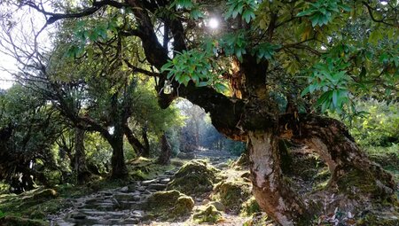 Nepal – Annapurna und Lower Mustang Lodge-Trek