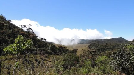Sri Lanka – Knuckles Range & Pekoe Trail