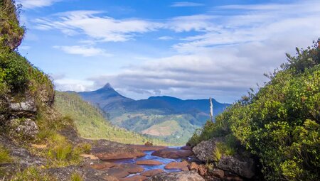 Sri Lanka – Knuckles Range & Pekoe Trail