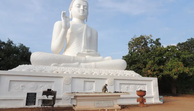 Sri Lanka – Kleine Insel, große Vielfalt