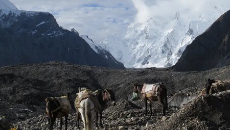 Pakistan – Karakorum: K2 Basecamp & Concordia Trek