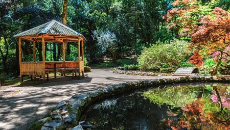 Georgien – Wandern im Großen und Kleinen Kaukasus