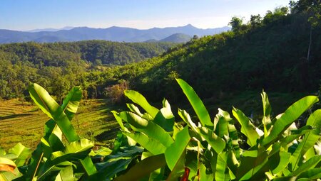 Thailand - Vielfalt des tropischen Königreichs