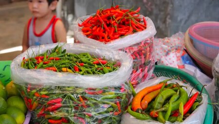 Thailand – Königsstädte und Trekking im Dschungel