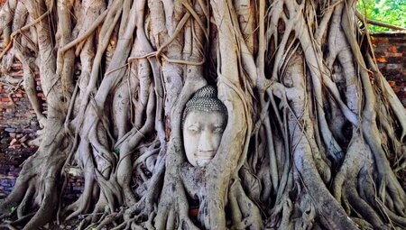 Thailand – Königsstädte und Trekking im Dschungel