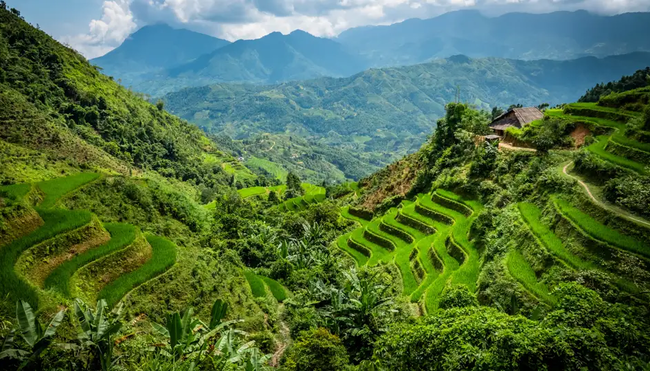 Vietnam – Grüne Bergwelt & mystische Halong-Bucht