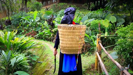 Vietnam - Farbenfrohe Völker und zauberhafte Bergwelten