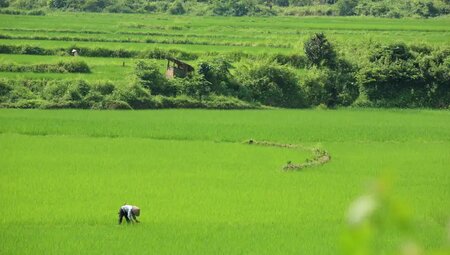 Vietnam – Grüne Bergwelt & mystische Halong-Bucht