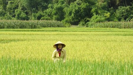 Vietnam – Grüne Bergwelt & mystische Halong-Bucht