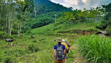 Vietnam – Grüne Bergwelt & mystische Halong-Bucht