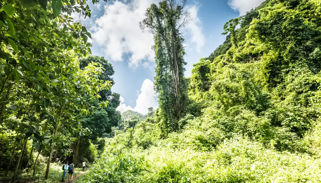 Laos – Wandern im grünen Norden