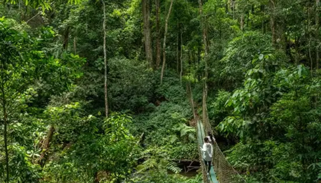 Laos – Wandern im grünen Norden