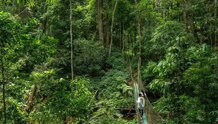 Laos – Wandern im grünen Norden