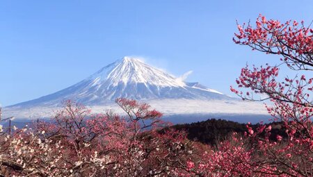 Japan – Fuji & Megacity Tokyo