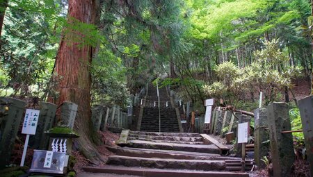 Japan – Fuji & Megacity Tokyo