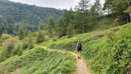 Japan – Fuji & Megacity Tokyo