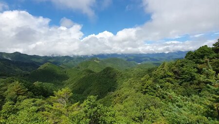 Japan – Fuji & Megacity Tokyo