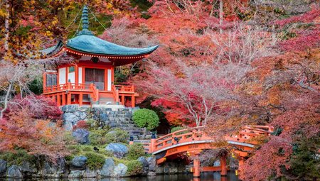 Japan - Die Pracht der Farben