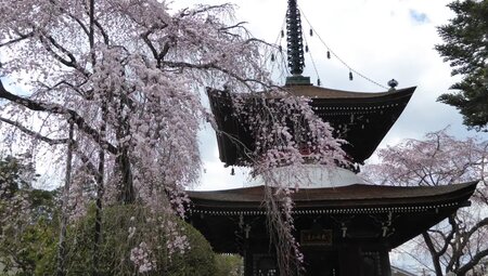 Japan - Die Pracht der Farben