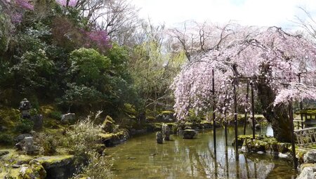 Japan – Küsten-Wanderreise von Osaka bis Tokyo