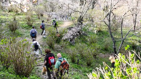 Japan mit Norbert Berger – Wandern in den Japanischen Alpen