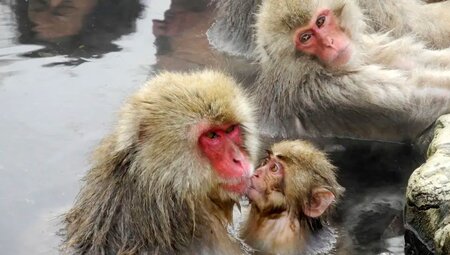 Japan mit Norbert Berger – Wandern in den Japanischen Alpen