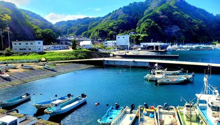 Japan – Hokkaido bis Tokyo: Wandern & Kultur