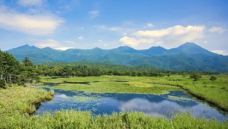 Japan – Hokkaido bis Tokyo: Wandern & Kultur