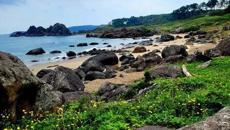 Japan – Hokkaido bis Tokyo: Wandern & Kultur