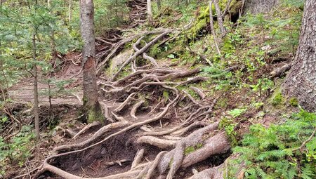 Japan – Hokkaido bis Tokyo: Wandern & Kultur