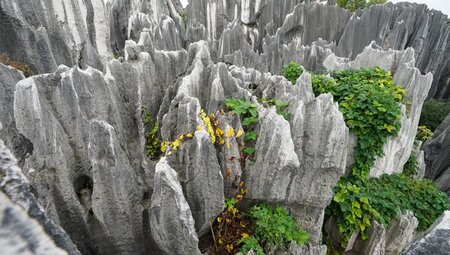 China – Vom Gipfel Emei Shan nach Ost-Tibet