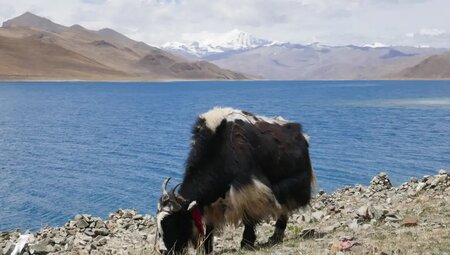 Tibet – Lhasa und Umrundung des Kailash