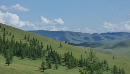 Mongolei – Zelt-Trekking in der Zentralmongolei