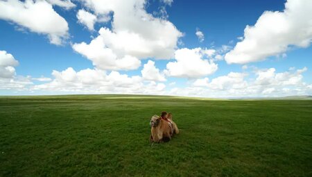 Mongolei – Zelt-Trekking in der Zentralmongolei