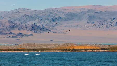 Mongolei – Zelt-Trekking im Altai-Gebirge