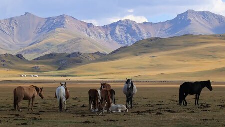 Kasachstan, Kirgistan – Siebenstromland & Himmelsberge