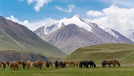 Kirgistan – MTB Reise durch das Tien Shan Gebirge
