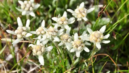 Usbekistan, Kirgistan – Kultur und Wandern in Zentralasien