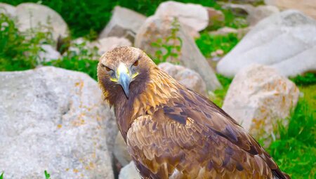 Usbekistan, Kirgistan – Kultur und Wandern in Zentralasien