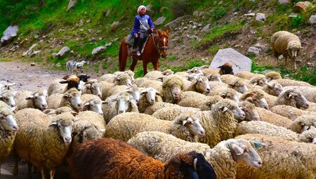 Usbekistan, Kirgistan – Kultur und Wandern in Zentralasien