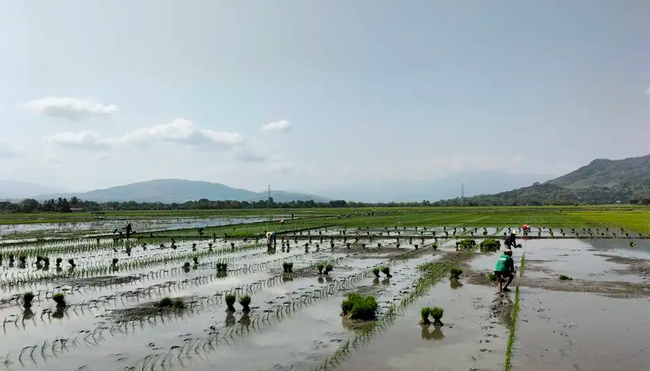 Philippinen – Gipfel-Wanderungen auf den Tropeninseln
