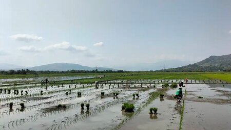 Philippinen – Gipfel-Wanderungen auf den Tropeninseln