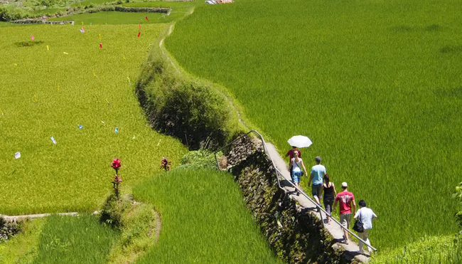 Philippinen – Gipfel-Wanderungen auf den Tropeninseln