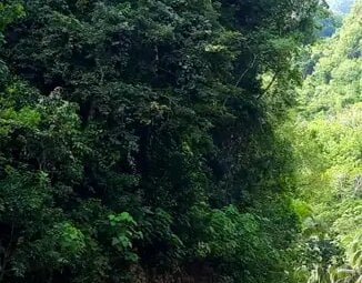 Philippinen – mit dem Rad von Insel zu Insel